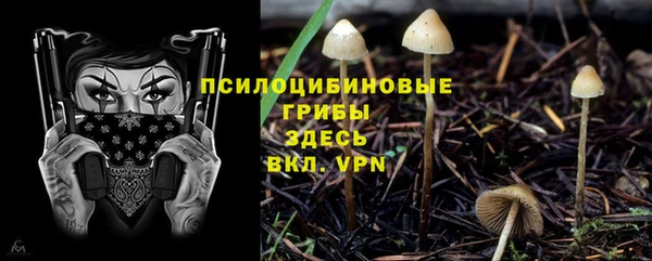 ECSTASY Семикаракорск