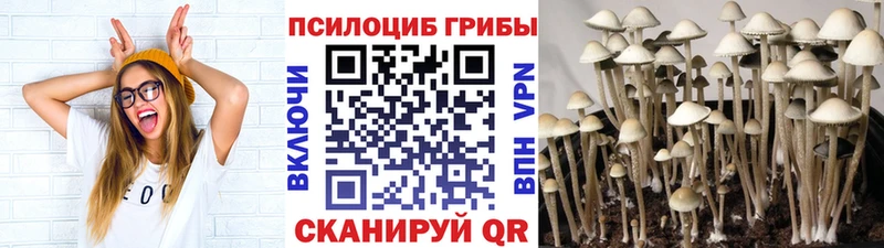 Галлюциногенные грибы Cubensis  Юрьевец 